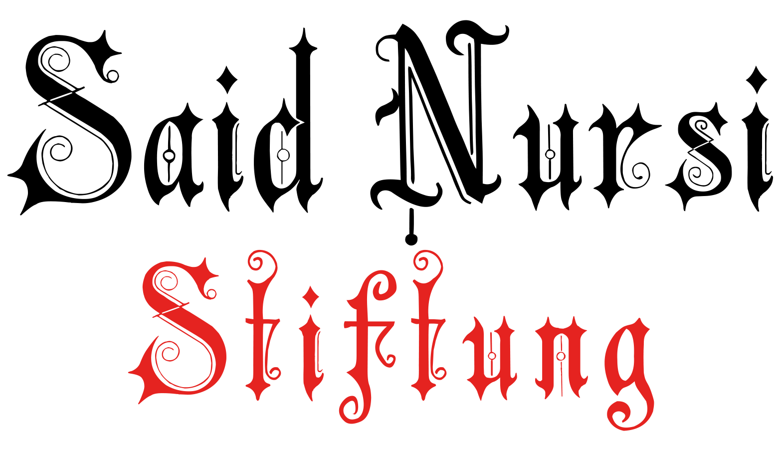 Said Nursi Stiftung Logo